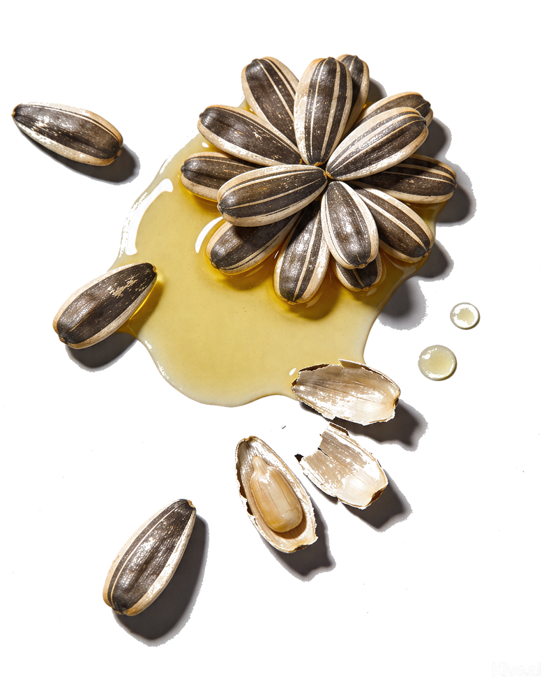 Sunflower Seed Oil