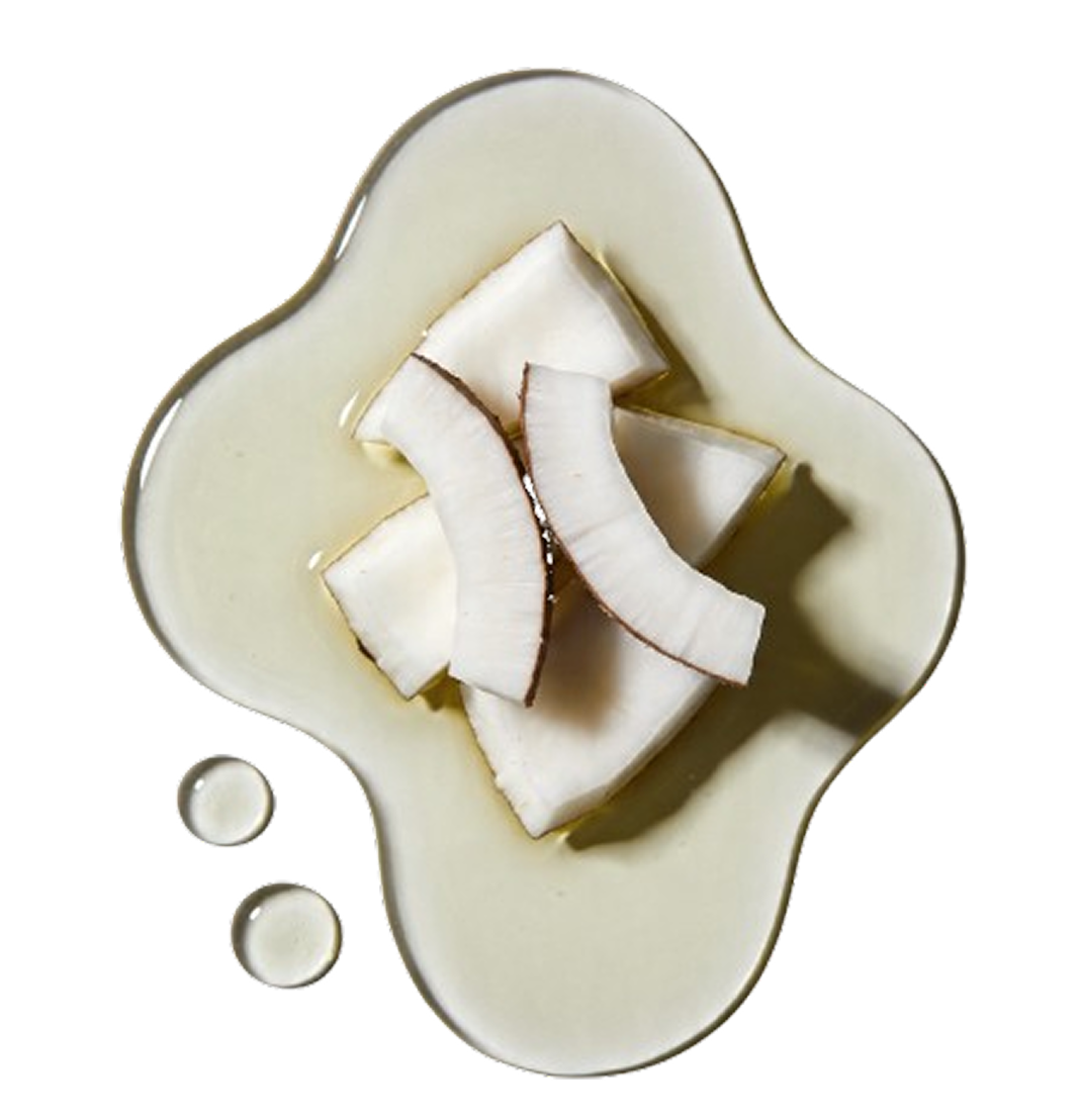 Caprylic/Capric Triglyceride